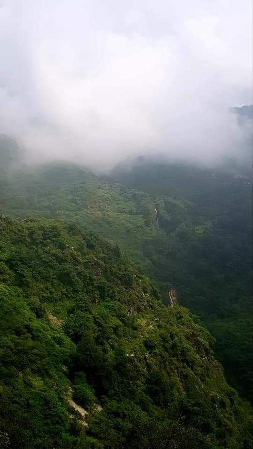 Hotel A Dogs Story, Mussoorie Dehradun Exterior foto